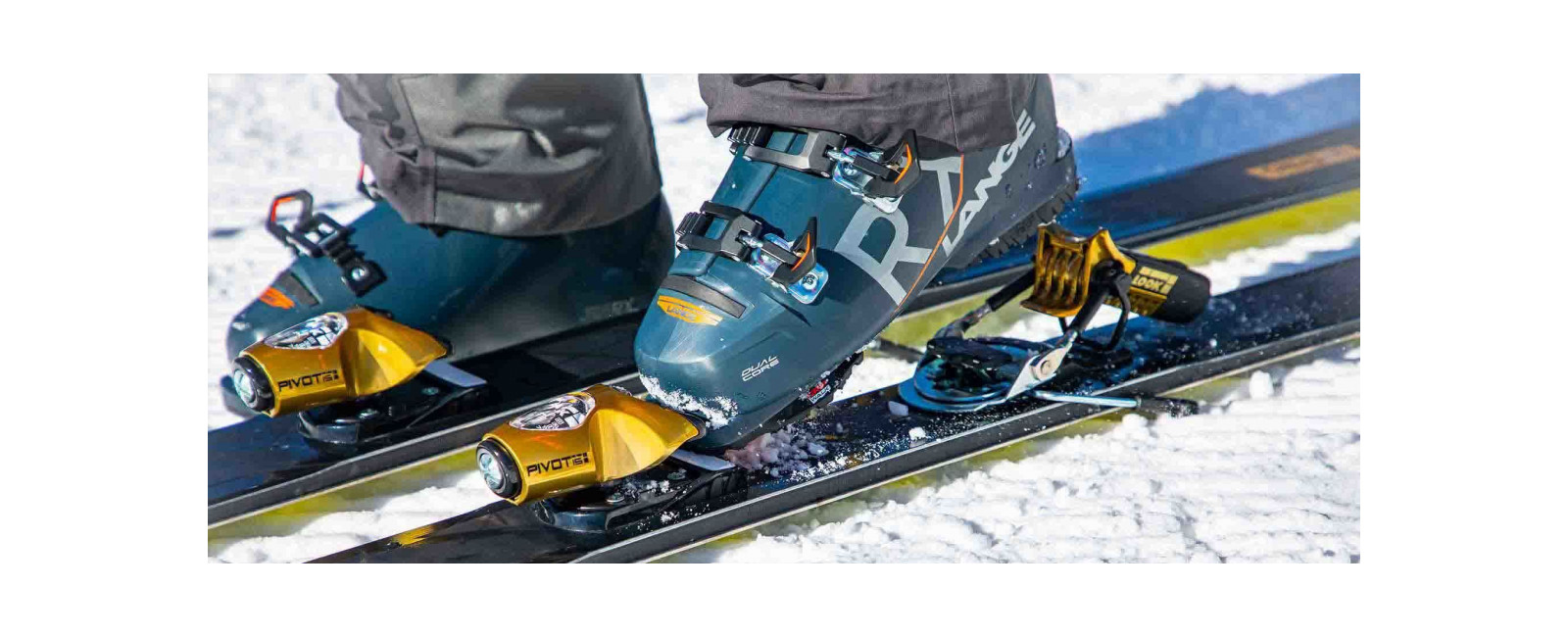 ski-bindings All Mountain Free Bindings PIVOT 15 GW B115 GOLD
