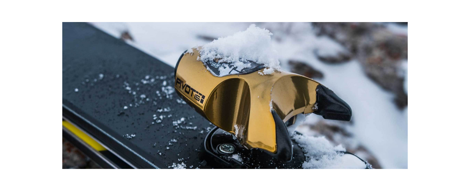 ski-bindings All Mountain Free Bindings PIVOT 15 GW B95 GOLD